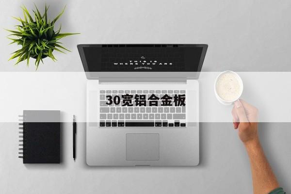 30宽铝合金板